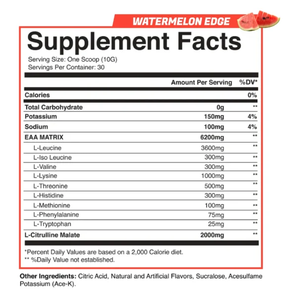 Outlastlabz Intra-Fuel (EAA) Fruit Punch